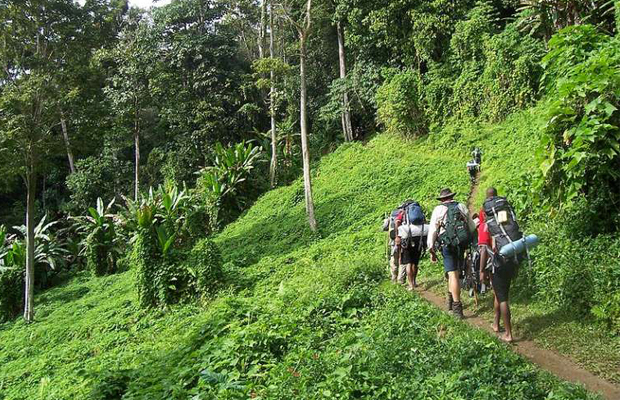 Kep Trekking Jungles